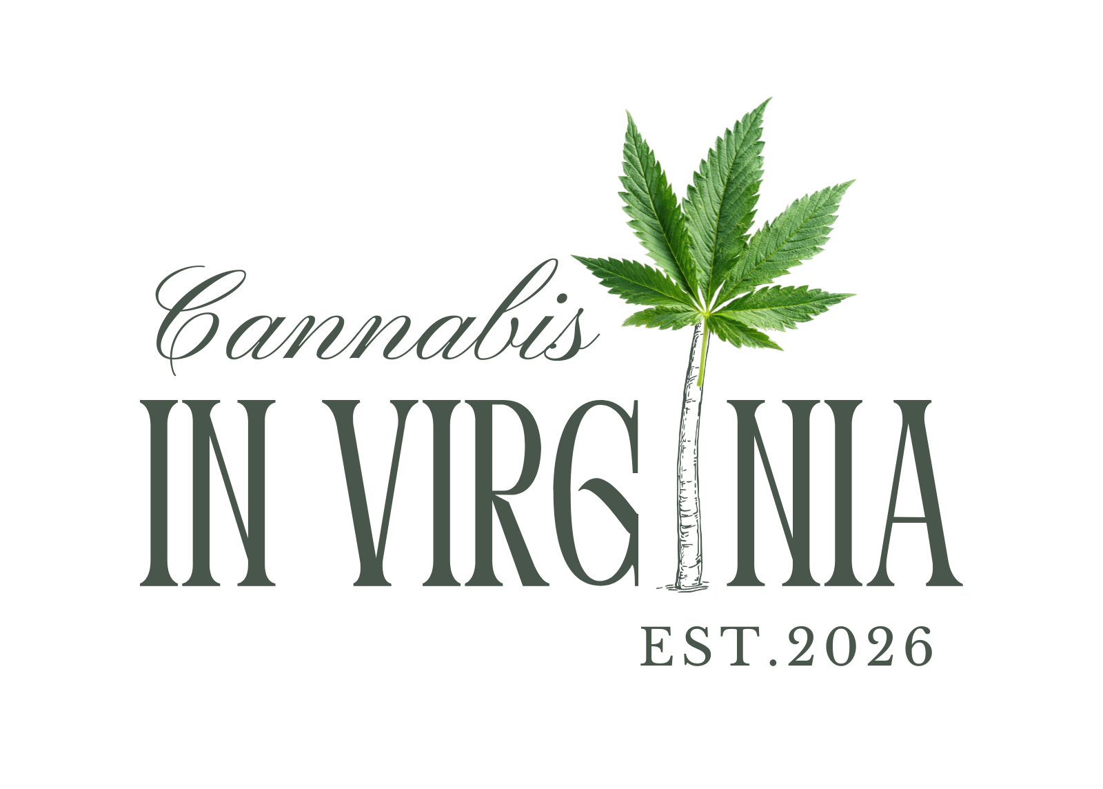 Cannabis In Virginia Weed Dispensary